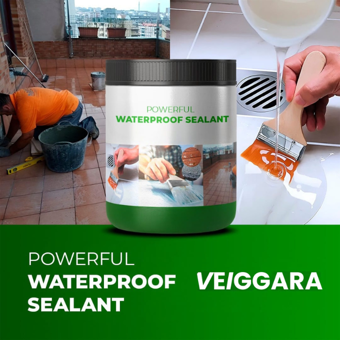 VEIGGARA |  High-performance sealant Waterproof