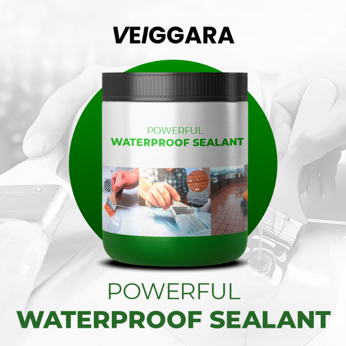 VEIGGARA |  High-performance sealant Waterproof